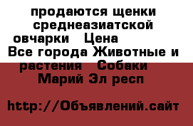 продаются щенки среднеазиатской овчарки › Цена ­ 30 000 - Все города Животные и растения » Собаки   . Марий Эл респ.